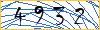 Type the numbers that you see in the picture