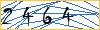 Type the numbers that you see in the picture