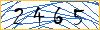 Type the numbers that you see in the picture