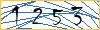 Type the numbers that you see in the picture