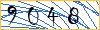 Type the numbers that you see in the picture