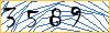 Type the numbers that you see in the picture