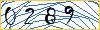Type the numbers that you see in the picture