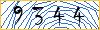 Type the numbers that you see in the picture