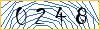 Type the numbers that you see in the picture