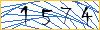 Type the numbers that you see in the picture