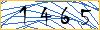 Type the numbers that you see in the picture