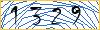 Type the numbers that you see in the picture