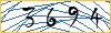 Type the numbers that you see in the picture