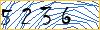Type the numbers that you see in the picture
