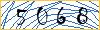 Type the numbers that you see in the picture