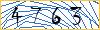 Type the numbers that you see in the picture