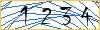 Type the numbers that you see in the picture