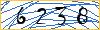 Type the numbers that you see in the picture