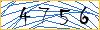 Type the numbers that you see in the picture