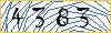 Type the numbers that you see in the picture