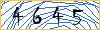 Type the numbers that you see in the picture