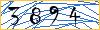 Type the numbers that you see in the picture