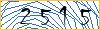 Type the numbers that you see in the picture