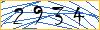 Type the numbers that you see in the picture