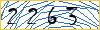 Type the numbers that you see in the picture