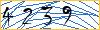 Type the numbers that you see in the picture