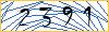 Type the numbers that you see in the picture