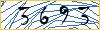 Type the numbers that you see in the picture