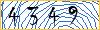 Type the numbers that you see in the picture