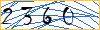 Type the numbers that you see in the picture