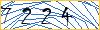 Type the numbers that you see in the picture