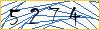 Type the numbers that you see in the picture