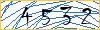 Type the numbers that you see in the picture