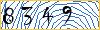 Type the numbers that you see in the picture