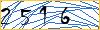 Type the numbers that you see in the picture