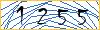 Type the numbers that you see in the picture