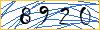 Type the numbers that you see in the picture