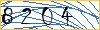 Type the numbers that you see in the picture