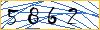 Type the numbers that you see in the picture
