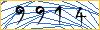 Type the numbers that you see in the picture