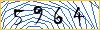 Type the numbers that you see in the picture