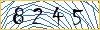 Type the numbers that you see in the picture