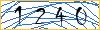 Type the numbers that you see in the picture