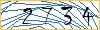Type the numbers that you see in the picture