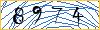 Type the numbers that you see in the picture