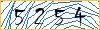 Type the numbers that you see in the picture