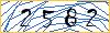 Type the numbers that you see in the picture