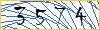 Type the numbers that you see in the picture