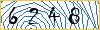 Type the numbers that you see in the picture