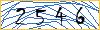 Type the numbers that you see in the picture